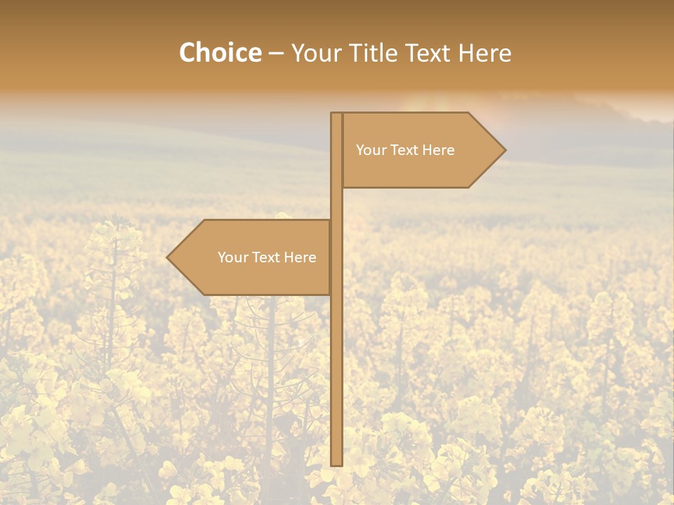 Meadow Nobody Background PowerPoint Template