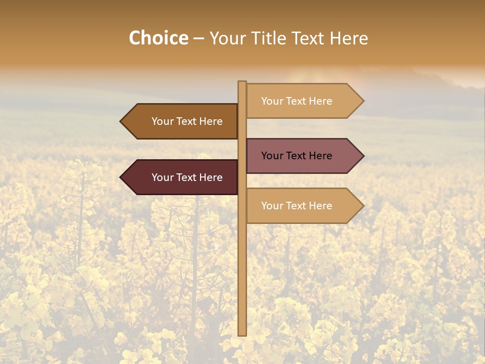 Meadow Nobody Background PowerPoint Template