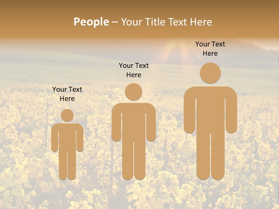 Meadow Nobody Background PowerPoint Template