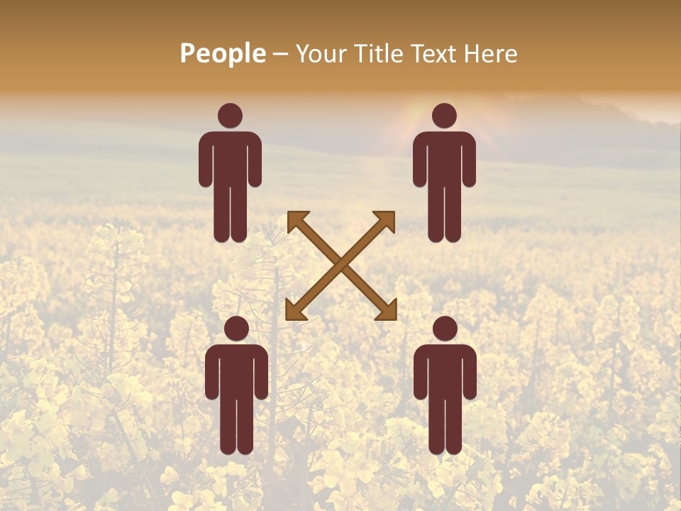 Meadow Nobody Background PowerPoint Template