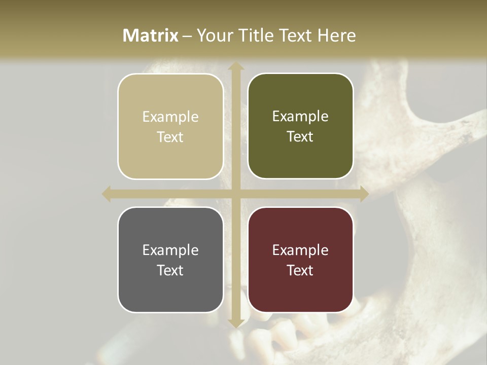 Decay Real Skull PowerPoint Template