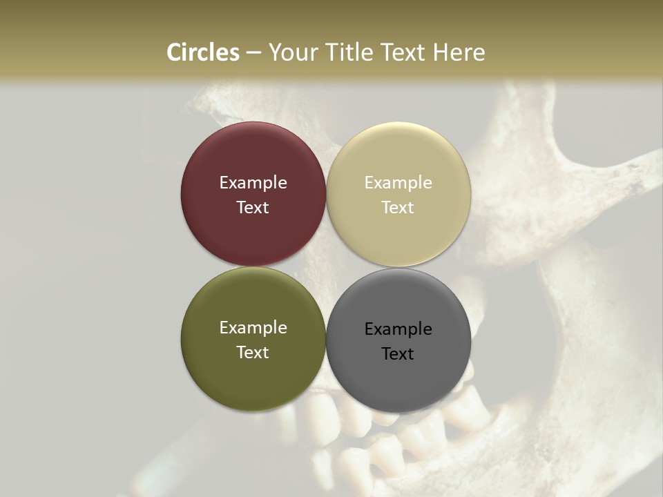 Decay Real Skull PowerPoint Template