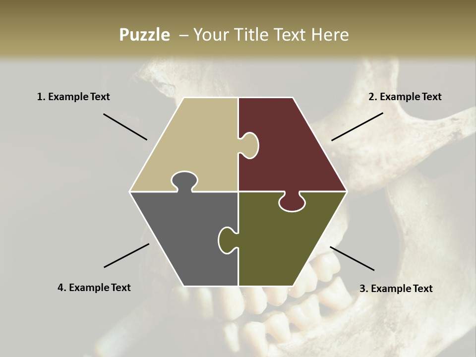 Decay Real Skull PowerPoint Template