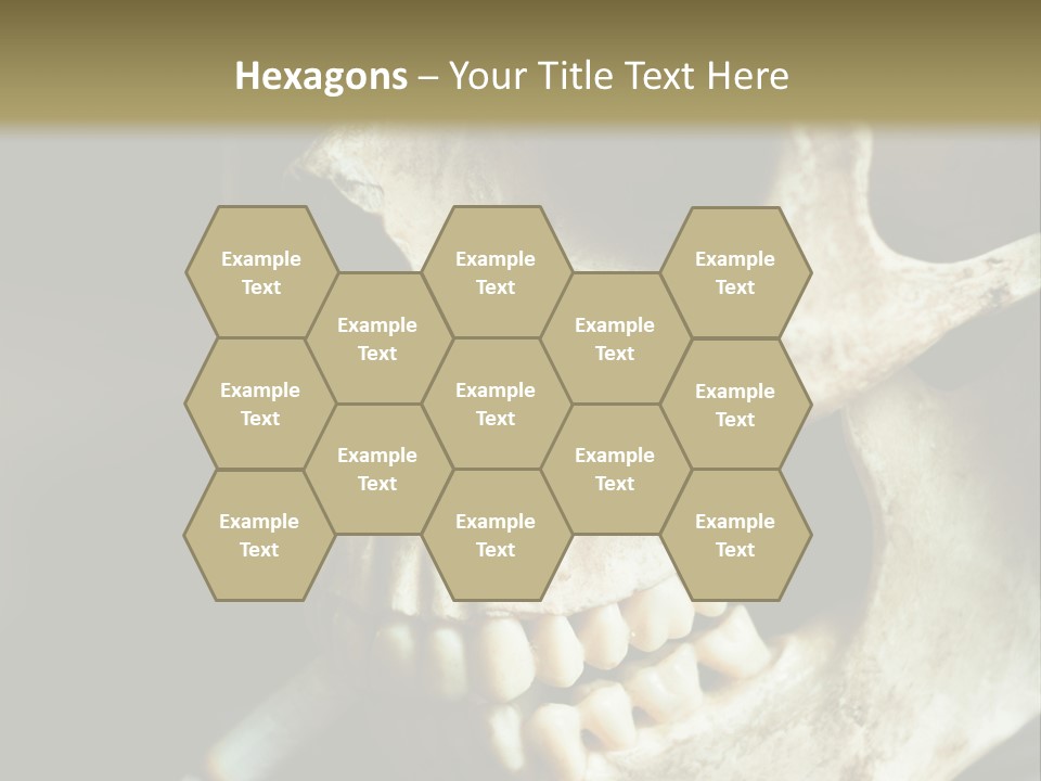 Decay Real Skull PowerPoint Template