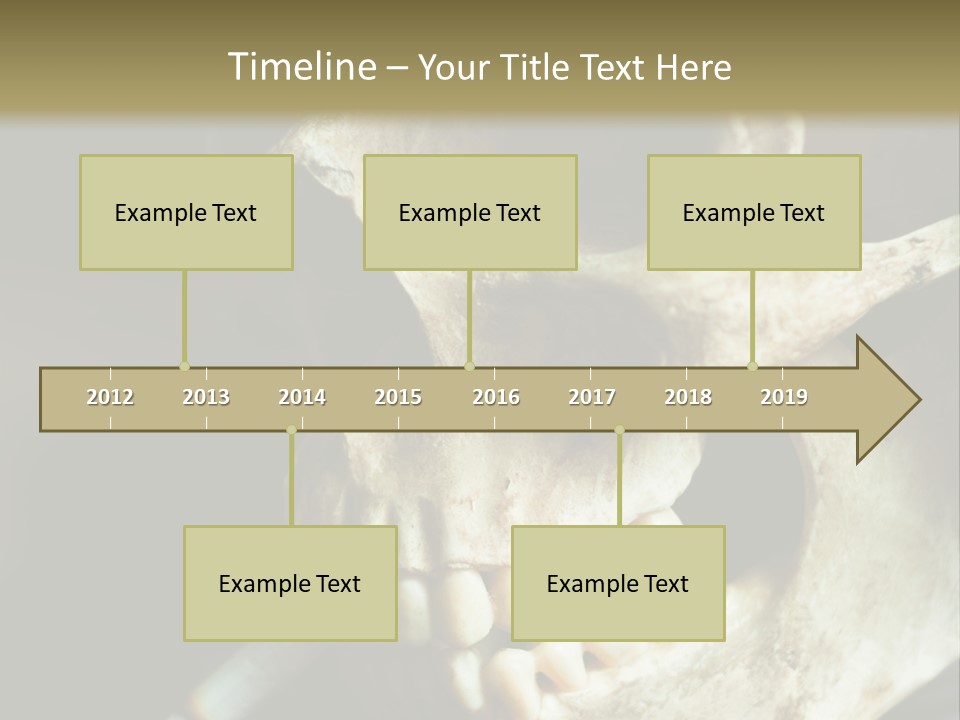 Decay Real Skull PowerPoint Template