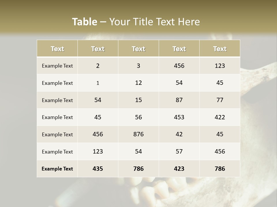 Decay Real Skull PowerPoint Template