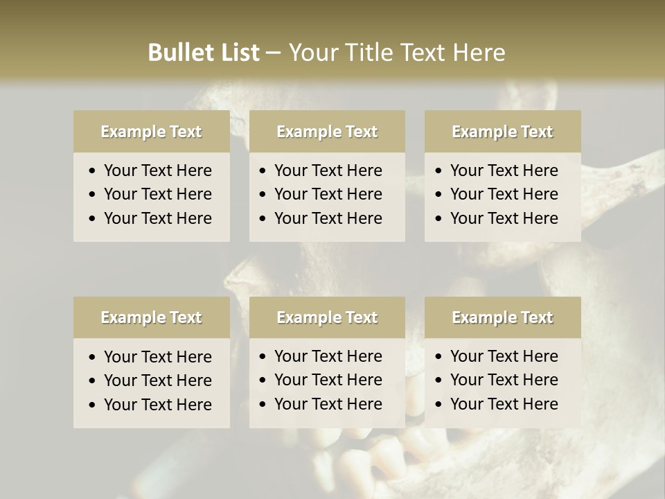 Decay Real Skull PowerPoint Template