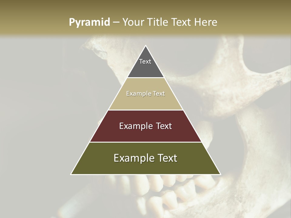 Decay Real Skull PowerPoint Template