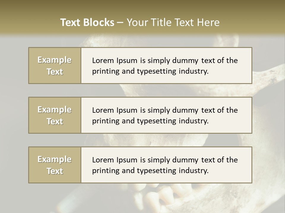 Decay Real Skull PowerPoint Template