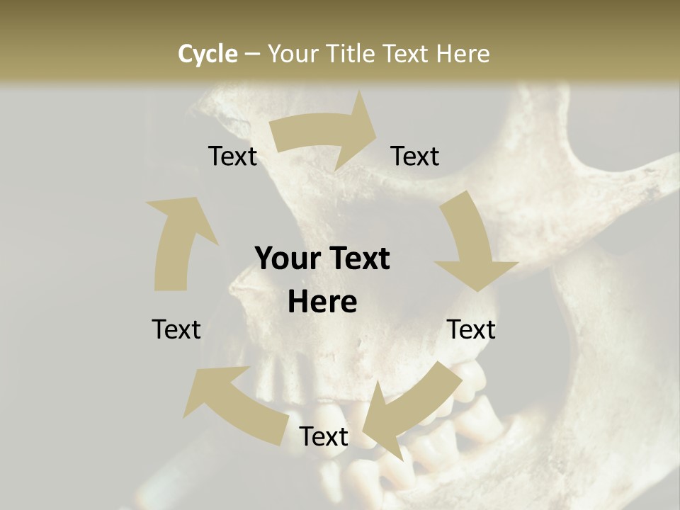 Decay Real Skull PowerPoint Template