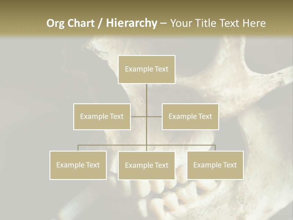 Decay Real Skull PowerPoint Template