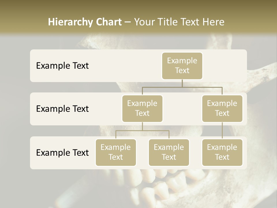 Decay Real Skull PowerPoint Template