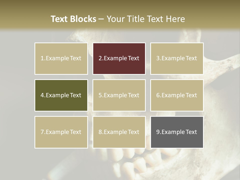 Decay Real Skull PowerPoint Template