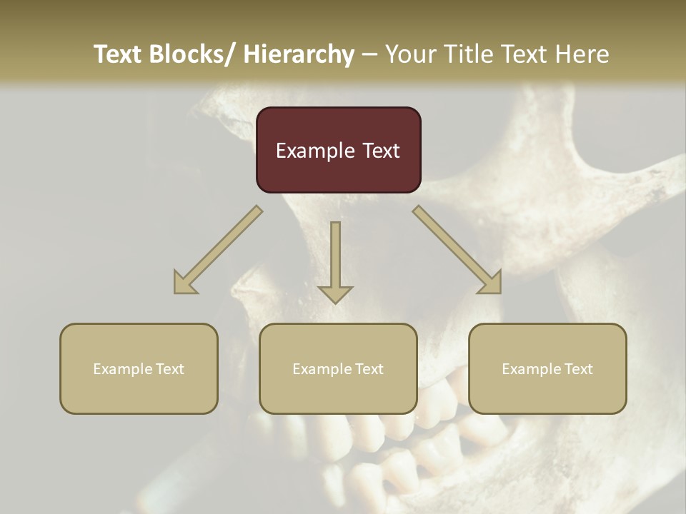 Decay Real Skull PowerPoint Template