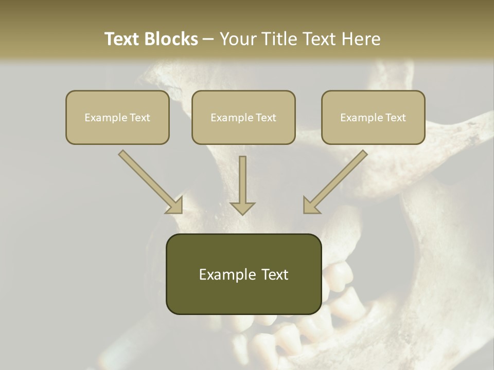 Decay Real Skull PowerPoint Template