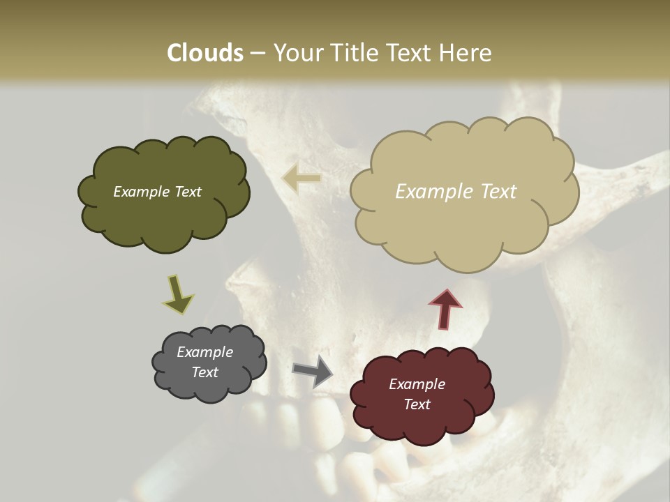 Decay Real Skull PowerPoint Template