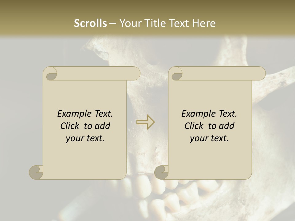 Decay Real Skull PowerPoint Template