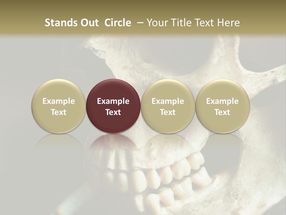 Decay Real Skull PowerPoint Template
