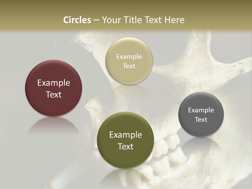 Decay Real Skull PowerPoint Template