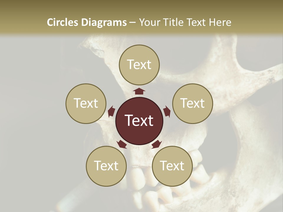 Decay Real Skull PowerPoint Template