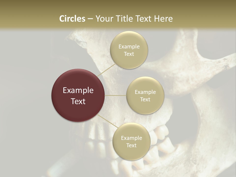 Decay Real Skull PowerPoint Template