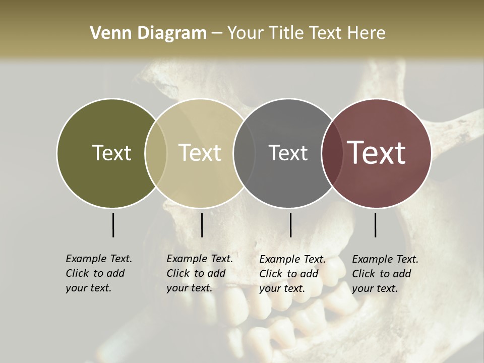 Decay Real Skull PowerPoint Template