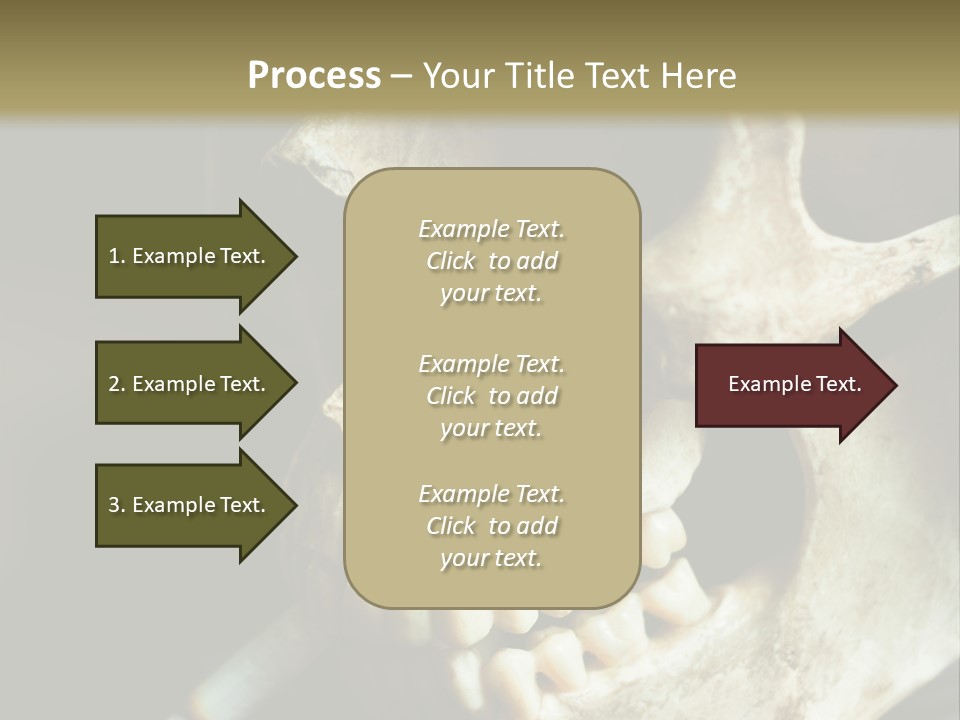 Decay Real Skull PowerPoint Template