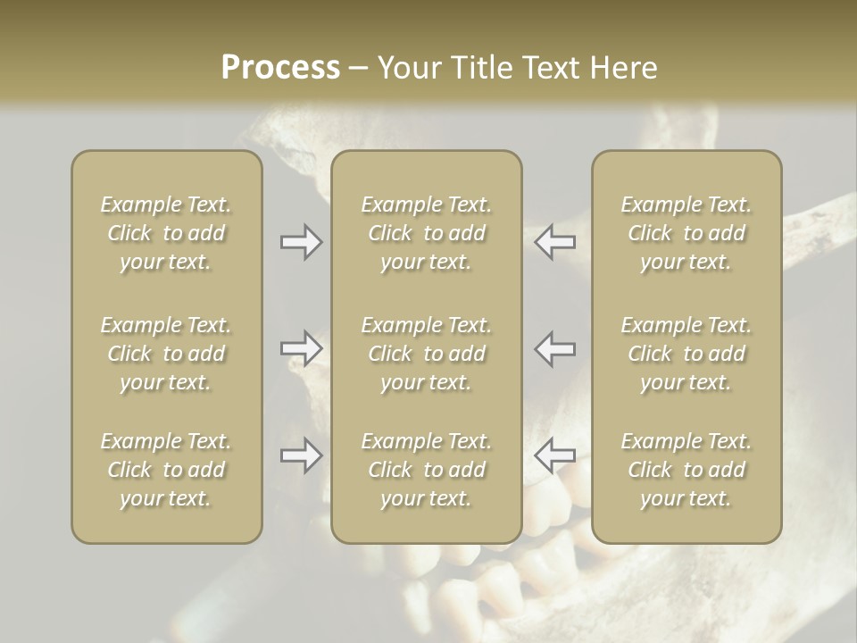 Decay Real Skull PowerPoint Template