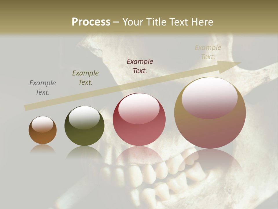 Decay Real Skull PowerPoint Template