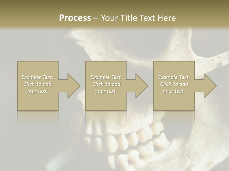 Decay Real Skull PowerPoint Template