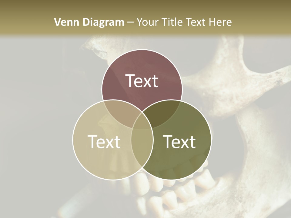 Decay Real Skull PowerPoint Template