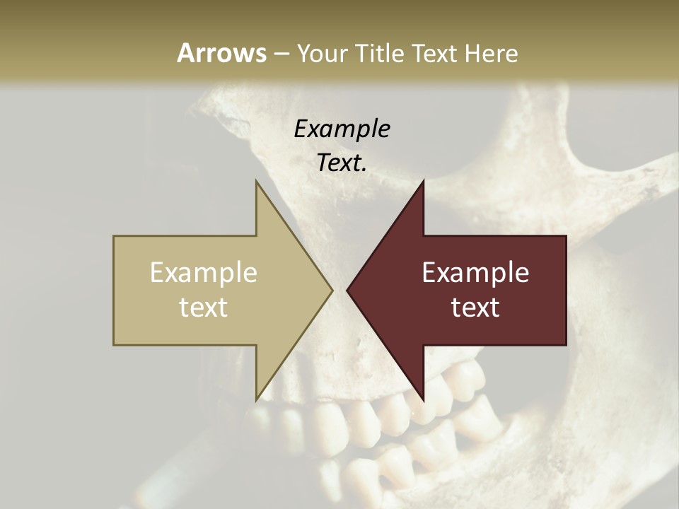 Decay Real Skull PowerPoint Template