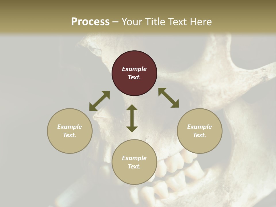 Decay Real Skull PowerPoint Template