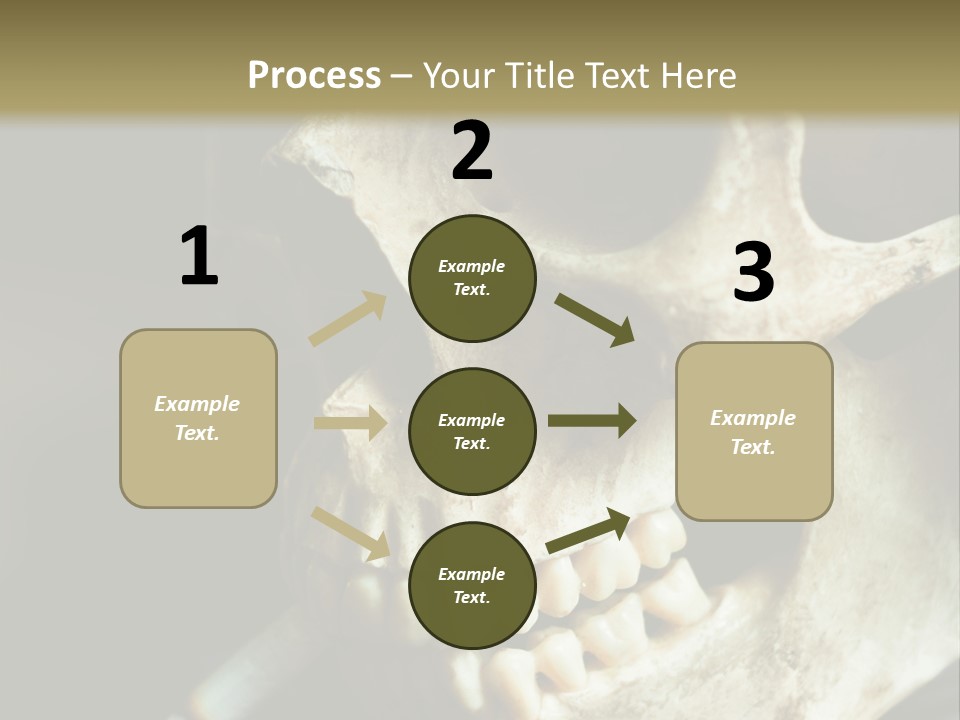 Decay Real Skull PowerPoint Template