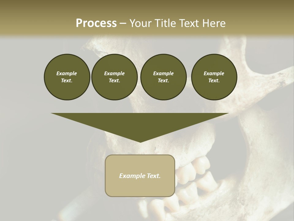 Decay Real Skull PowerPoint Template