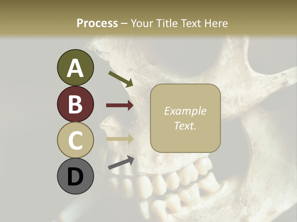 Decay Real Skull PowerPoint Template
