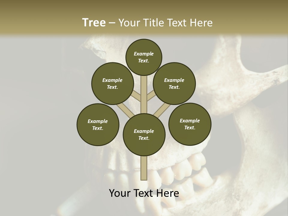 Decay Real Skull PowerPoint Template