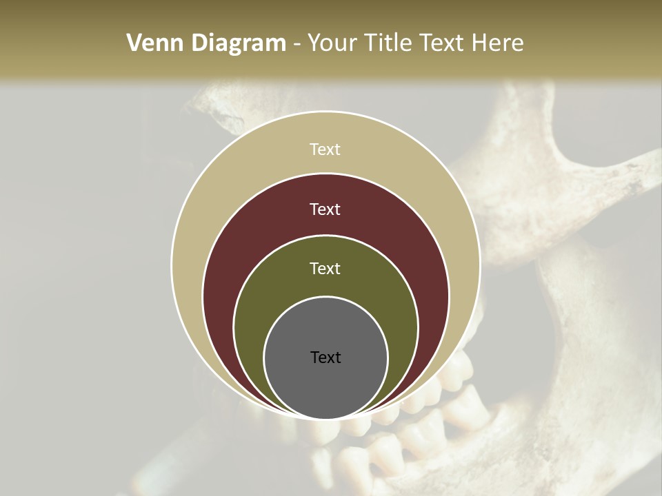 Decay Real Skull PowerPoint Template