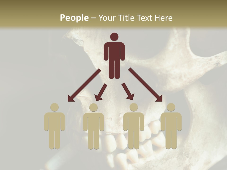 Decay Real Skull PowerPoint Template