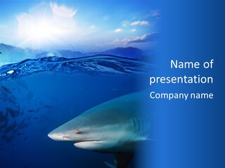 Life Water Sea PowerPoint Template