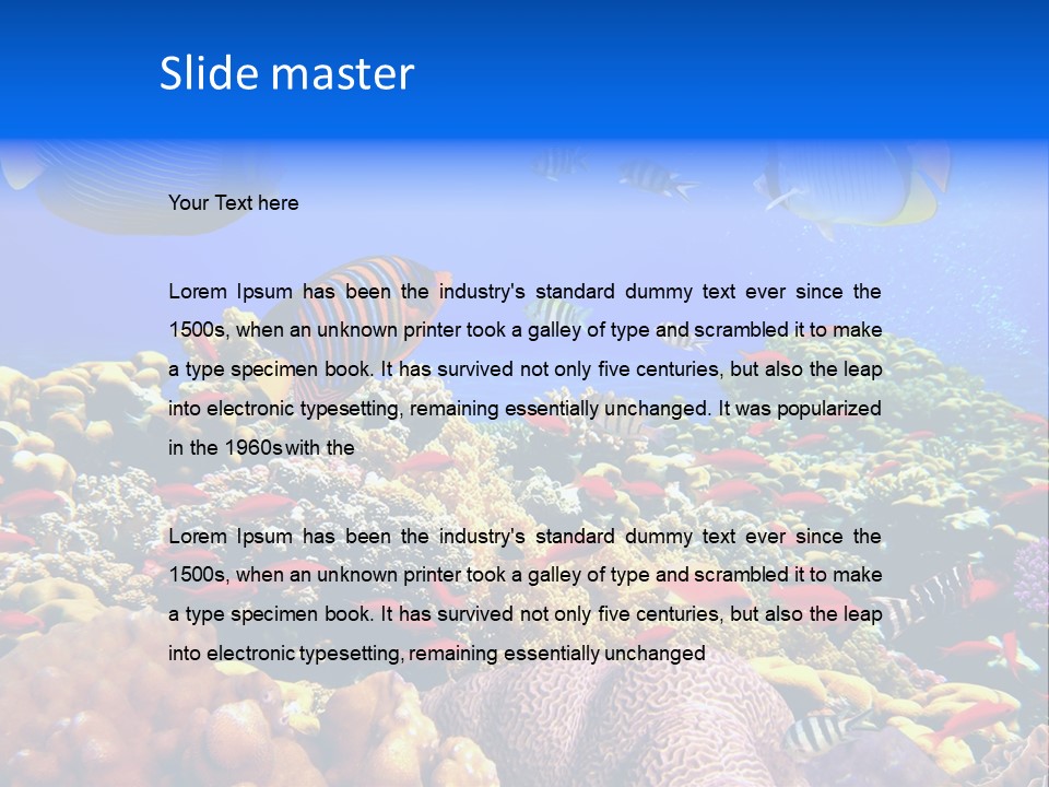 Tourism Bottom Exploration PowerPoint Template