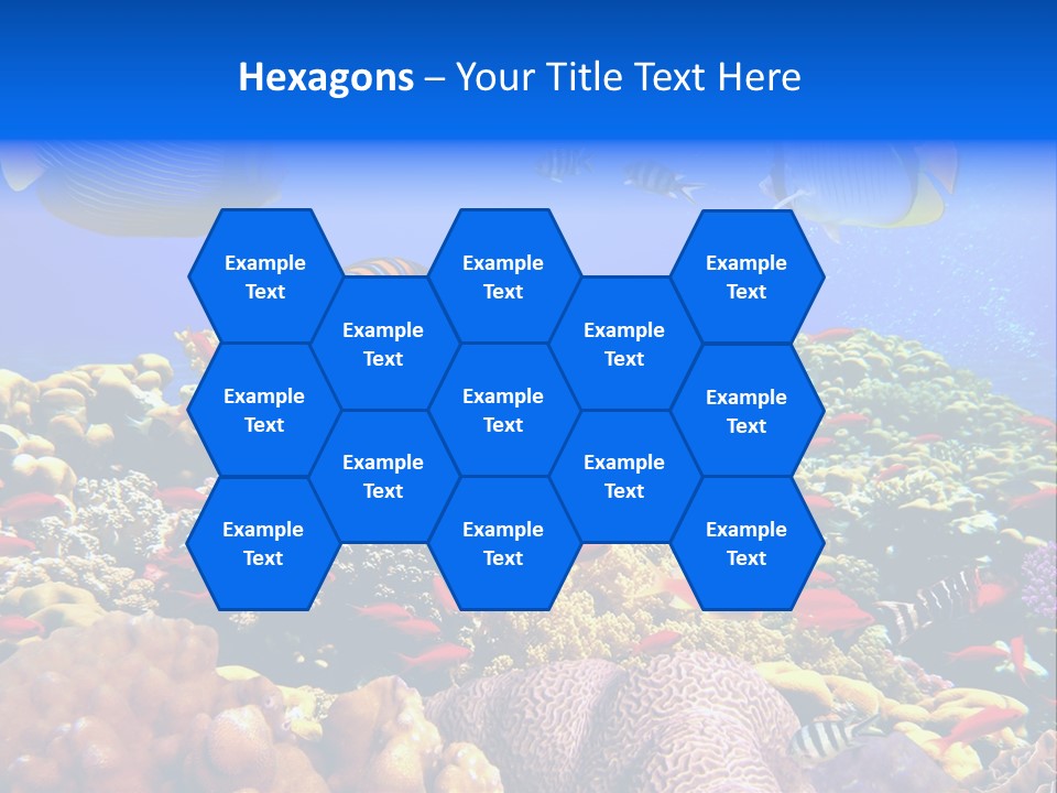 Tourism Bottom Exploration PowerPoint Template