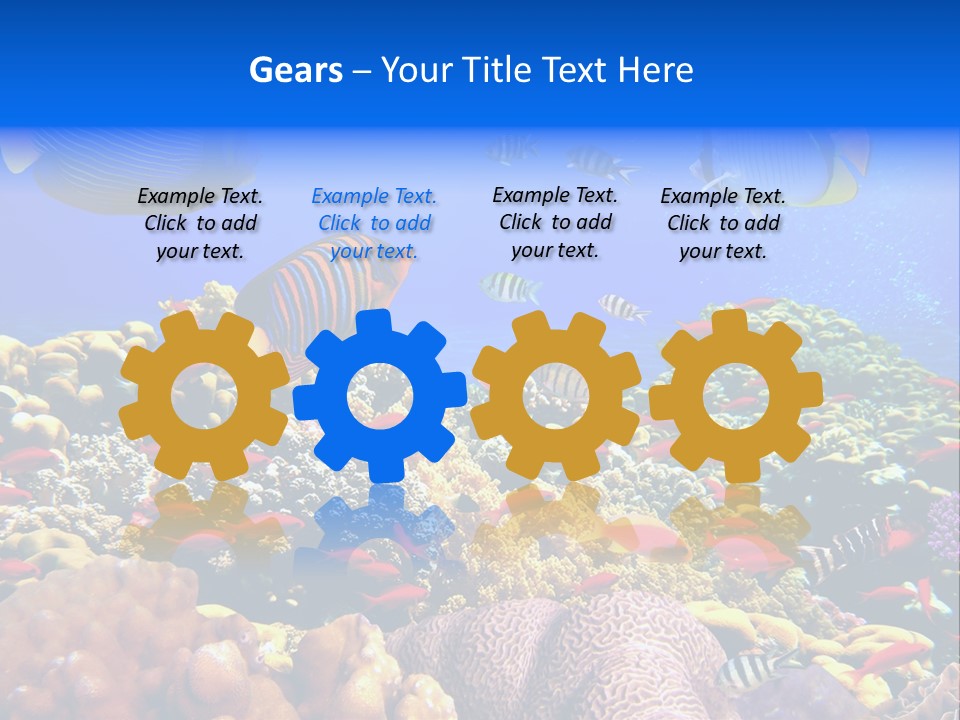 Tourism Bottom Exploration PowerPoint Template