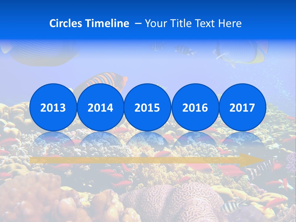 Tourism Bottom Exploration PowerPoint Template