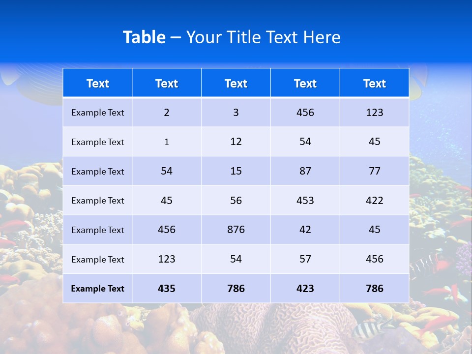 Tourism Bottom Exploration PowerPoint Template