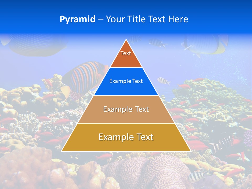 Tourism Bottom Exploration PowerPoint Template