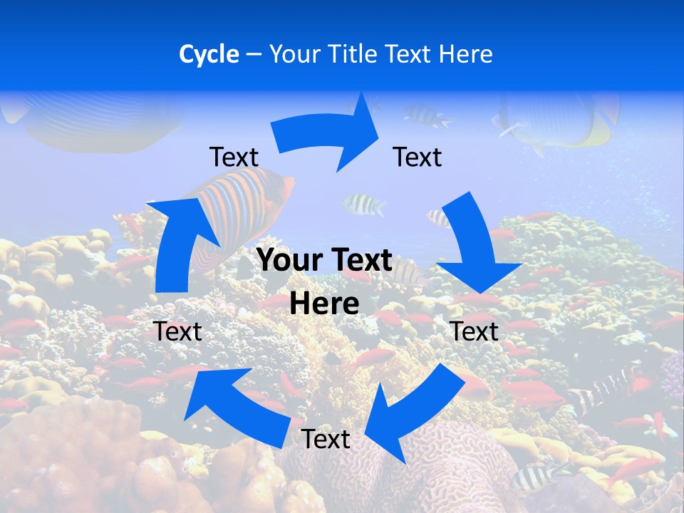 Tourism Bottom Exploration PowerPoint Template