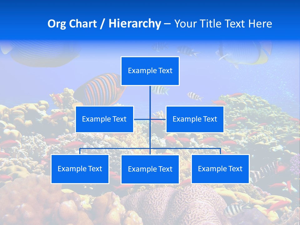 Tourism Bottom Exploration PowerPoint Template