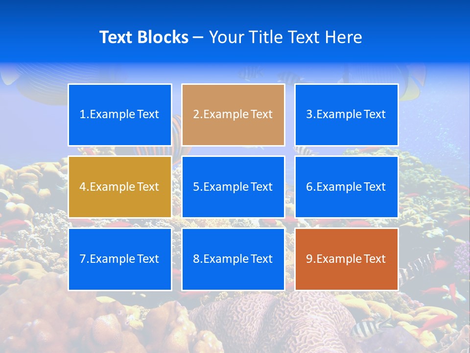 Tourism Bottom Exploration PowerPoint Template