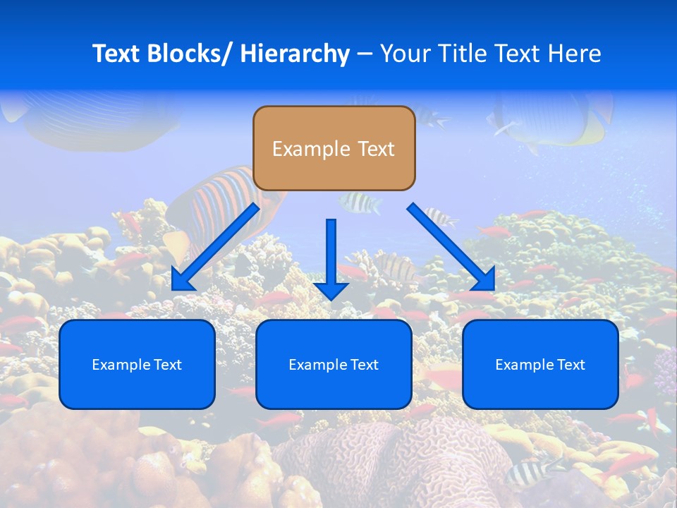 Tourism Bottom Exploration PowerPoint Template